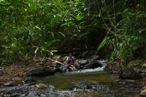 BIB: 
                            <button type="button" onclick="openModal(21841178)" class="btn btn-primary btn-sm float-right btn-popup" data-toggle="modal" data-target=".modal-high-quality">
                        <i class="fas fa-shopping-cart"></i> Add to Cart
                    </button>
                                            <button type="button" onclick="isThisMe(21841178, true)" class="btn btn-success btn-sm float-right btn-popup btn-isme hidden" data-toggle="tooltip" data-placement="bottom" title="นี่คือรูปของคุณใช่ไหม คลิกที่นี่เพื่อเอาเข้าอัลบั้ม">
                        <i class="fas fa-plus"></i> Add to album
                    </button>
                    <button type="button" onclick="isThisMe(21841178, false)" class="btn btn-warning btn-sm float-right btn-popup btn-isnotme hidden">
                        <i class="fas fa-ban"></i> Remove from album
                    </button>